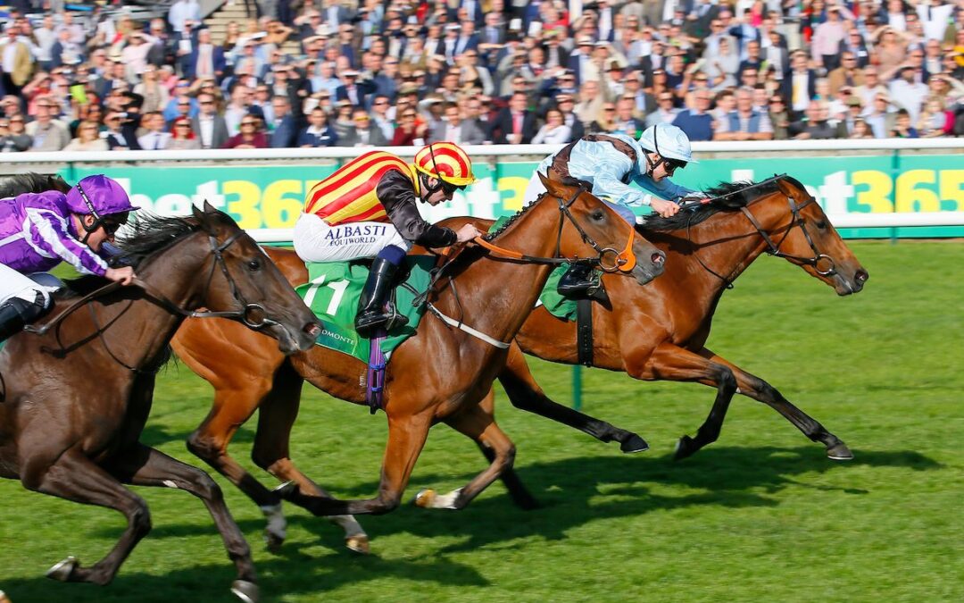 Fairyland Cheveley Park stakes 2018 2