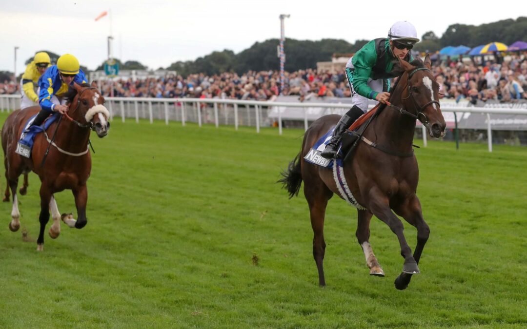 Limato York 9th September 2018