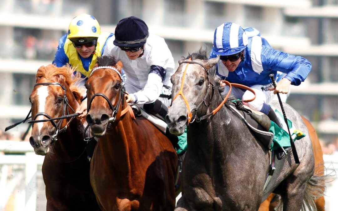 Yafta Hackwood Stakes 2018